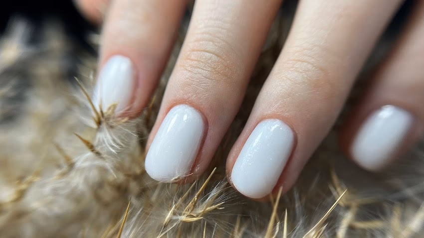 50 Stars Beauty Studio