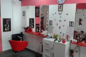 ArtisTouch by Nicola Razvan