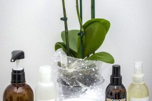 Beauty Secret in New York Salon