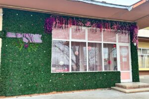 Blush Beauty by Giulia