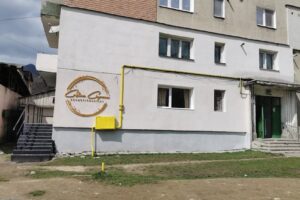 Cinpeanu Adina Cristina Pfa