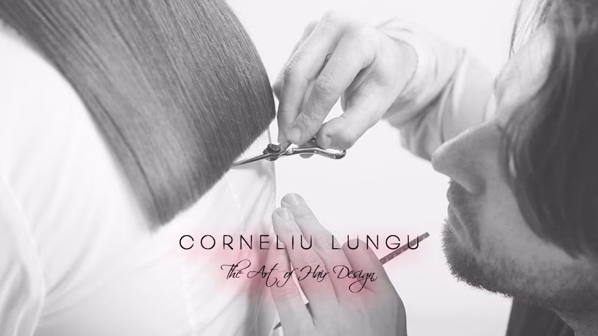 Corneliu Lungu Salon Academy