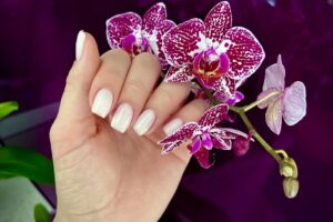 Dims Street Mall Concept