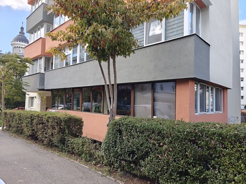 Gocan Tincuta Pfa frizerie