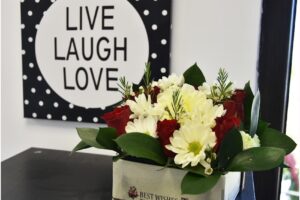 Mr Frizzbee Salon Coafor si Frizerie pentru parinti si copii