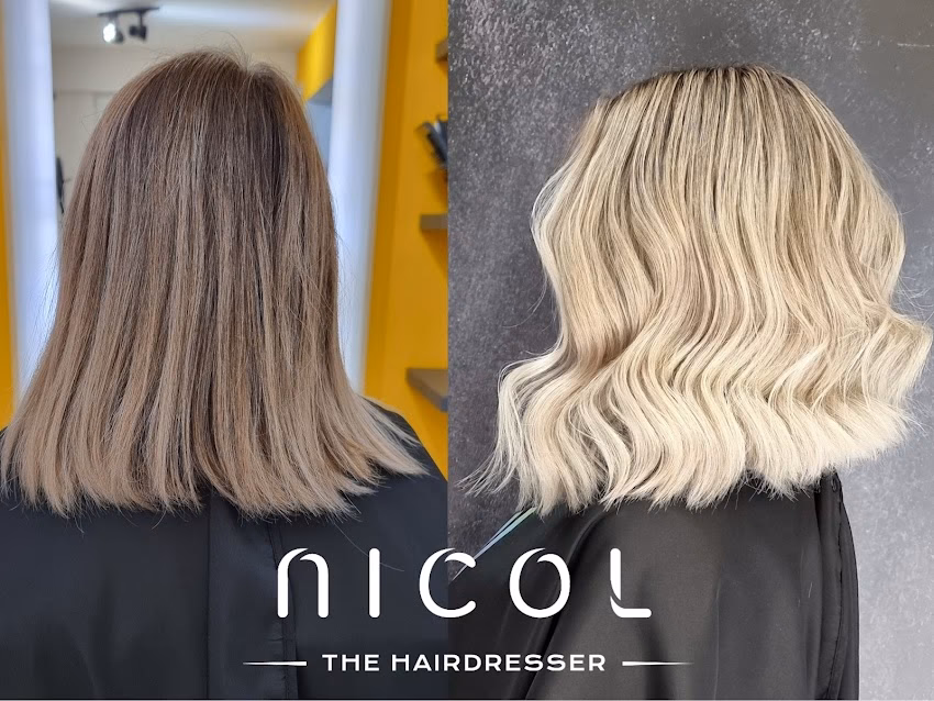Nicol The hairdresser