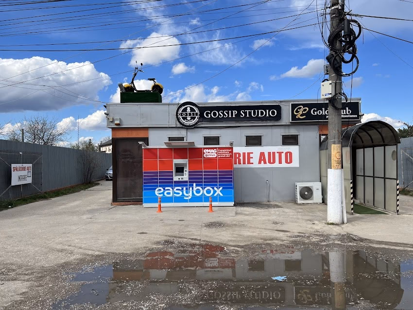 Raul Alin Studio Corbeanca