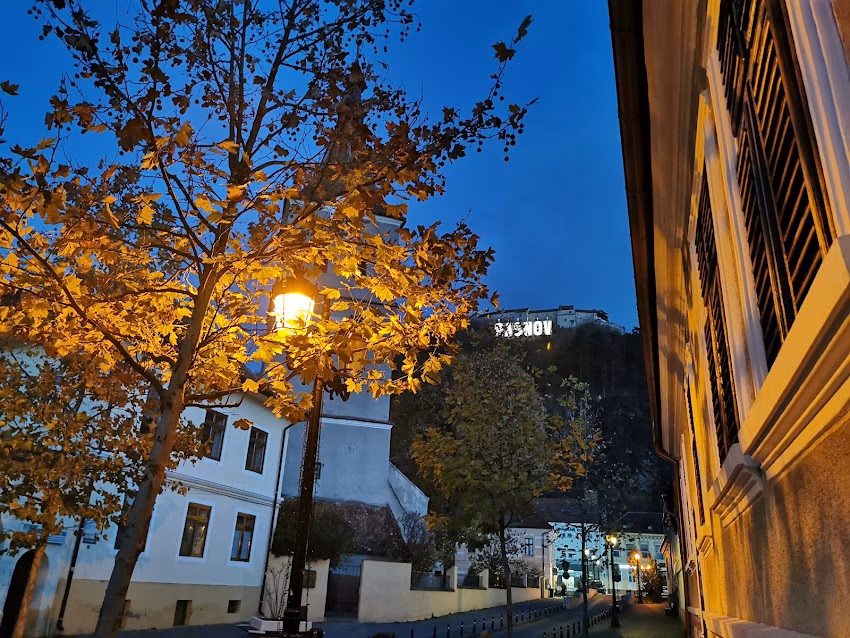 Rosenau Cochet Salon