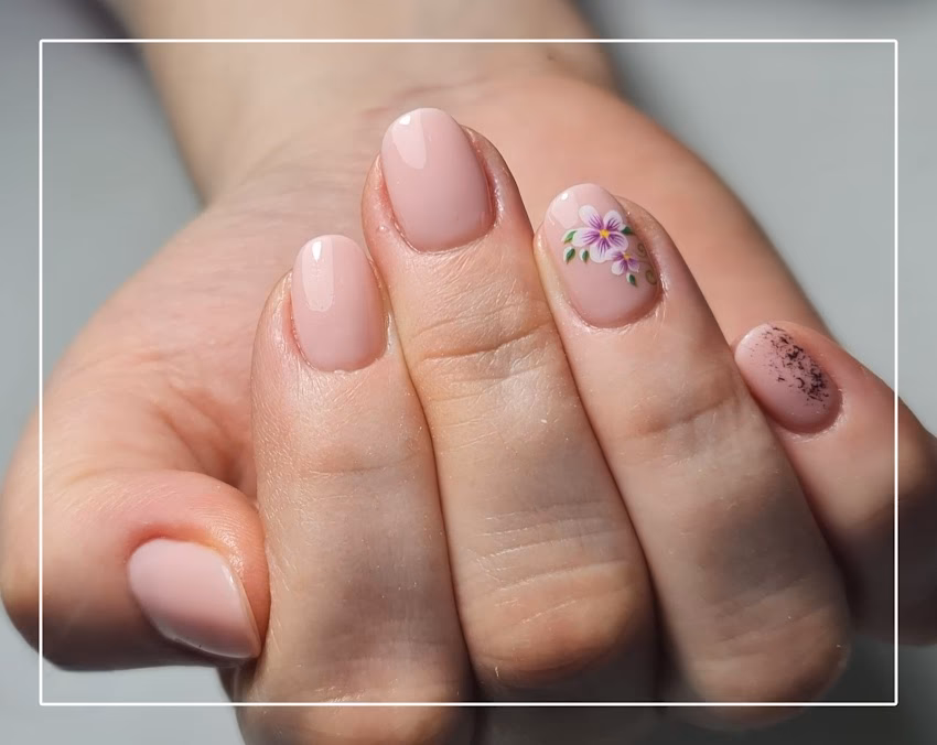 Salon Bella Chic Studio