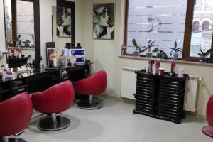 Salon Ioana