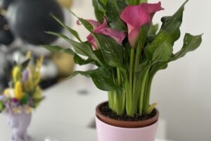 Simply Beauty by Angela