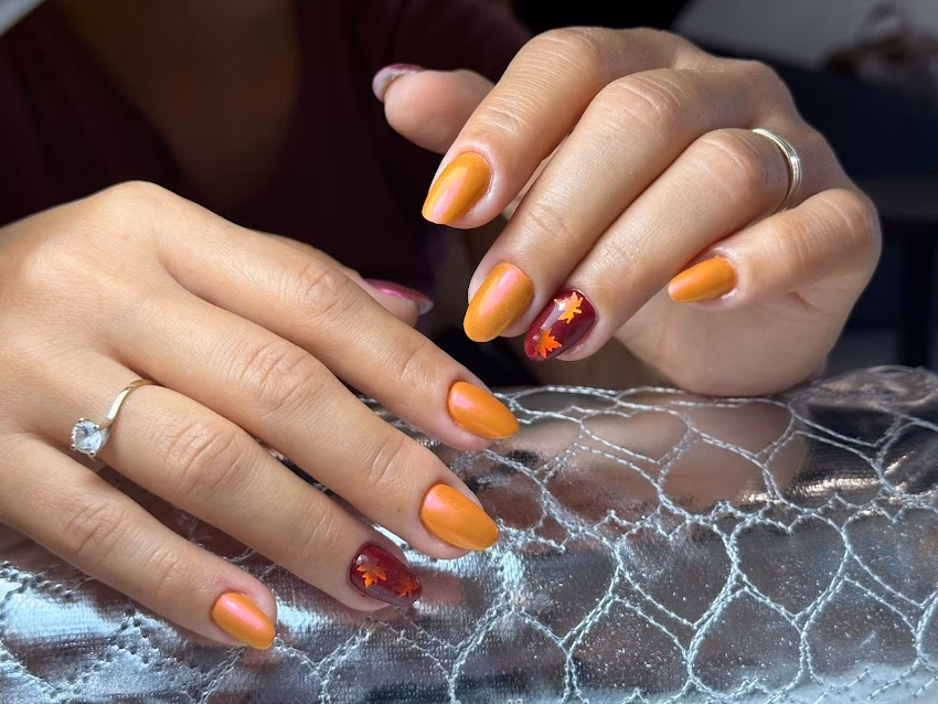 Tărâmul cu Dichis Salon Coafor Manichiură Frizerie Ploiești